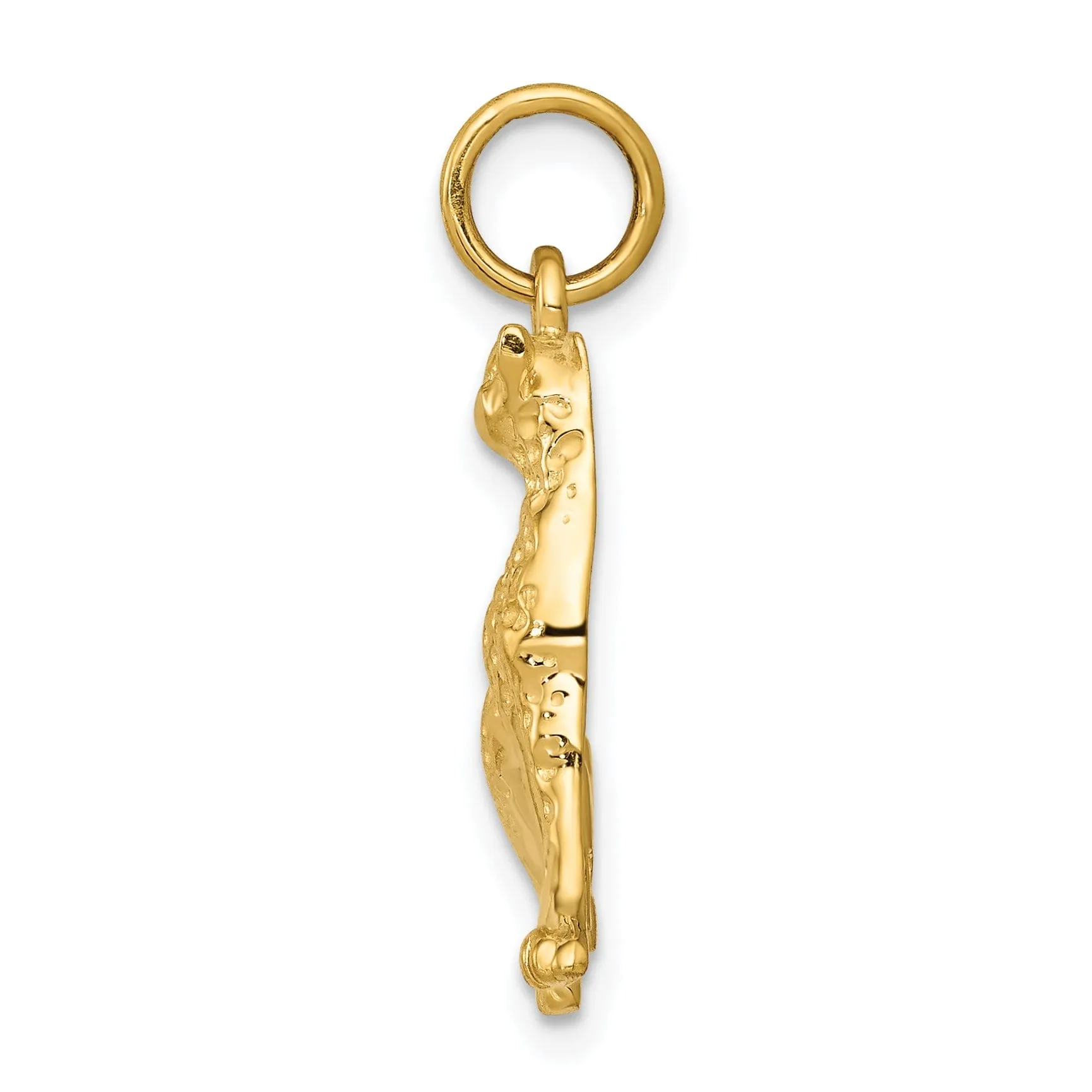 14k Yellow Gold Textured Polished Finish Cheetah Charm Pendant