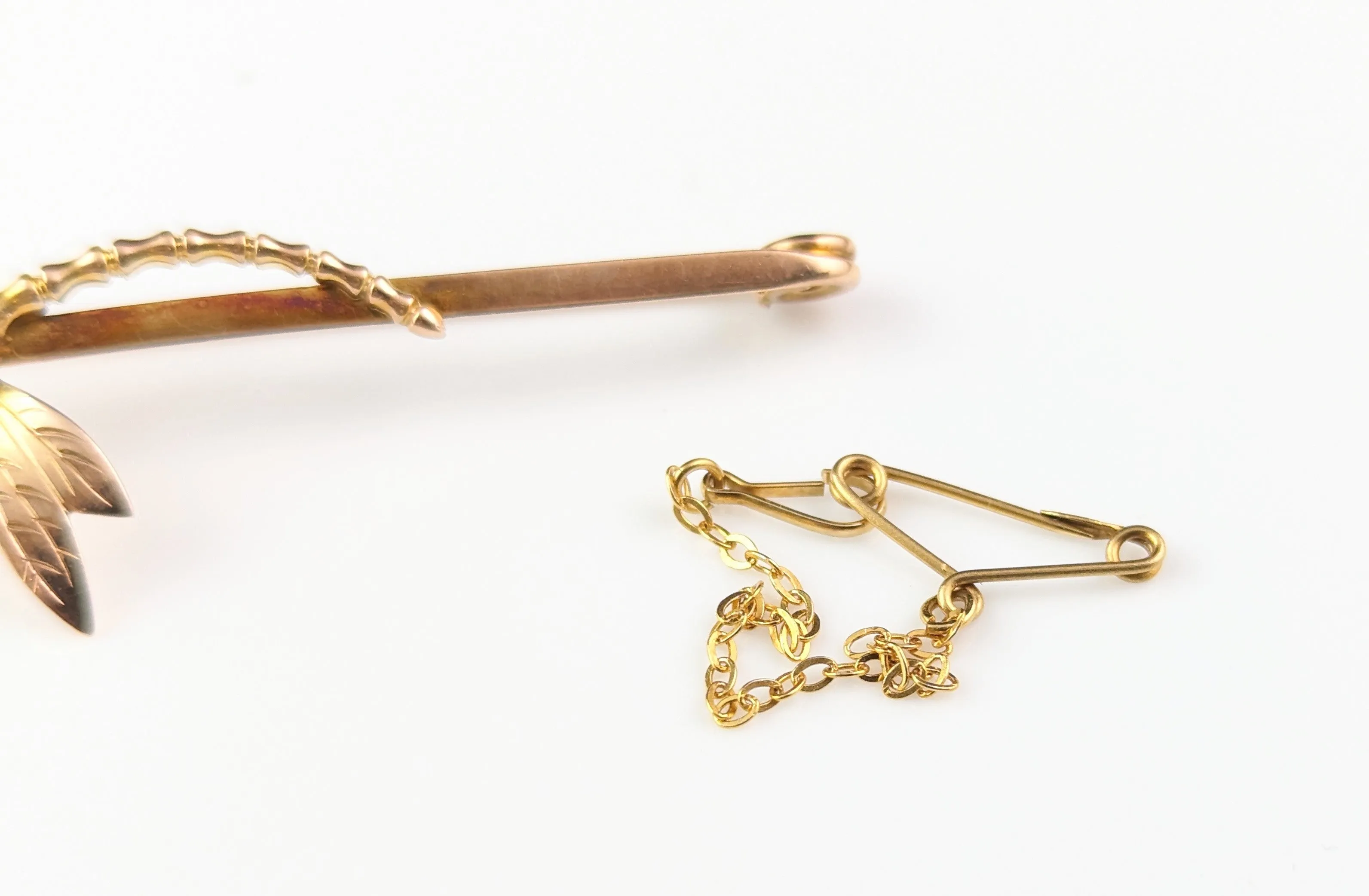 Antique Sapphire Dragonfly brooch, 9ct yellow gold, Art Nouveau