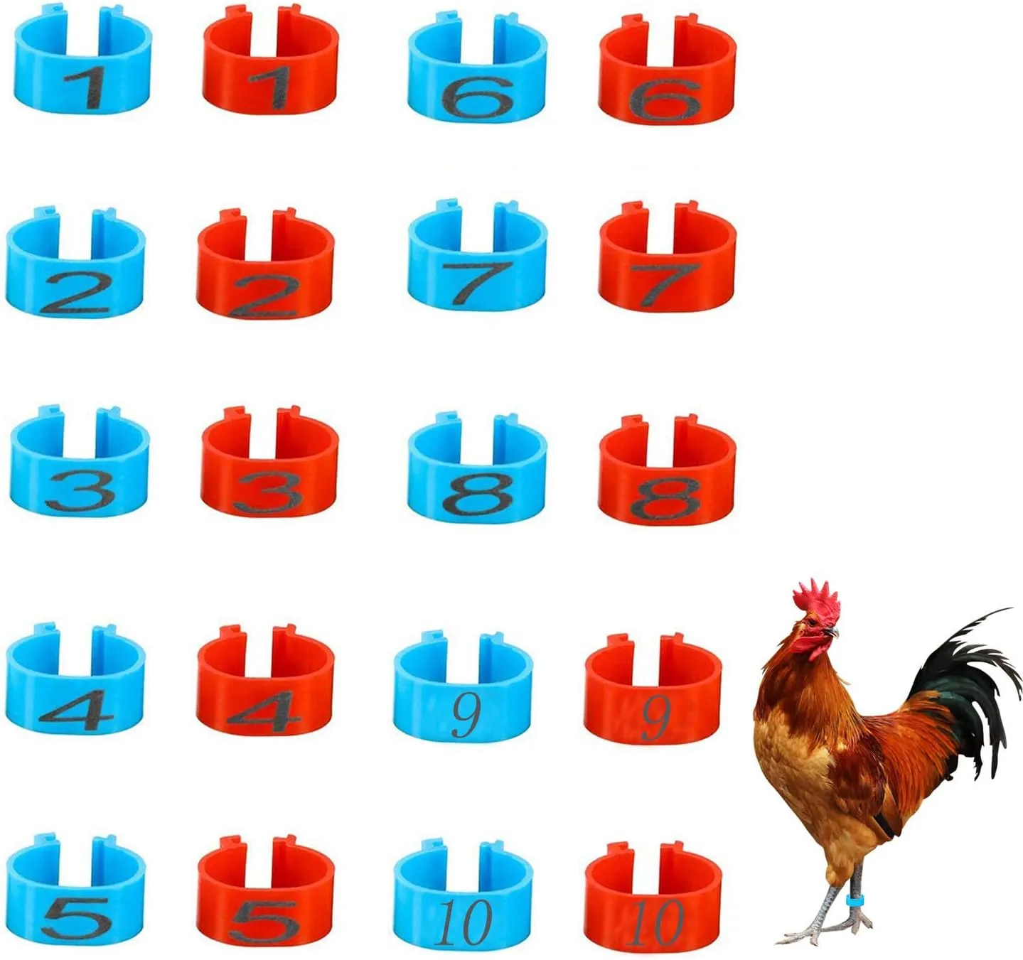 NEW 5 PCS Chicken Saddle Hen Apron with 20 PCS Chicken Leg Rings, Standard Hen Saddles with Wing Protectors, Hen Apron with Jacket Straps Poultry Protector Apron Suit for Small, Medium and Large Hens