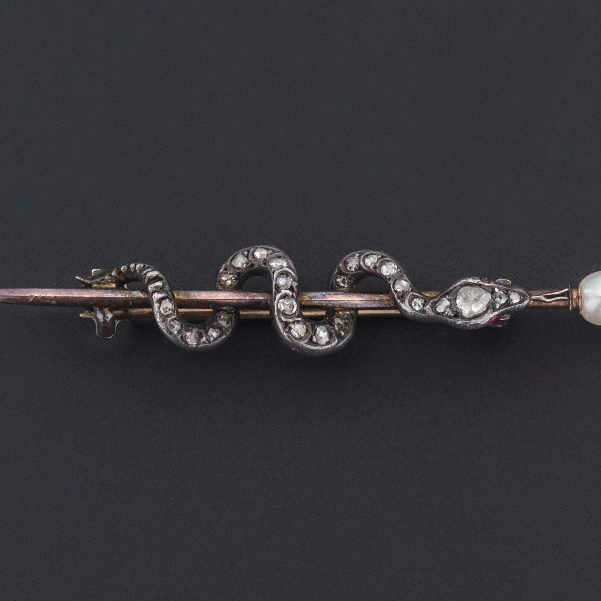 Rod of Asclepius Brooch | Antique Diamond Snake Brooch