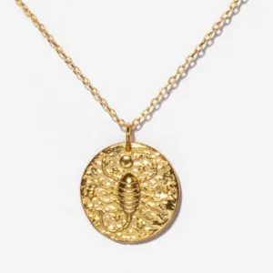 Scorpio Zodiac Coin Necklace
