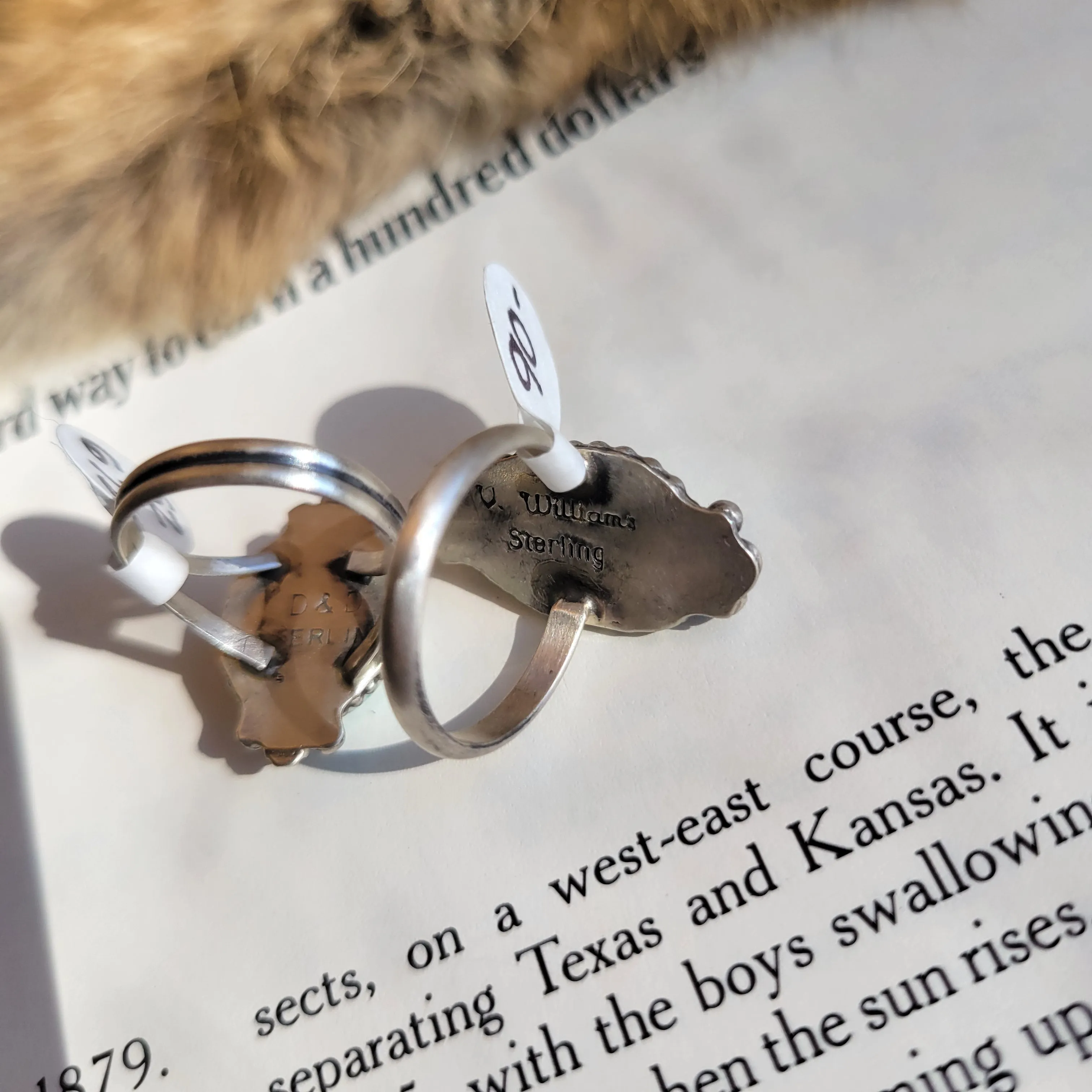 The Vegas Rings