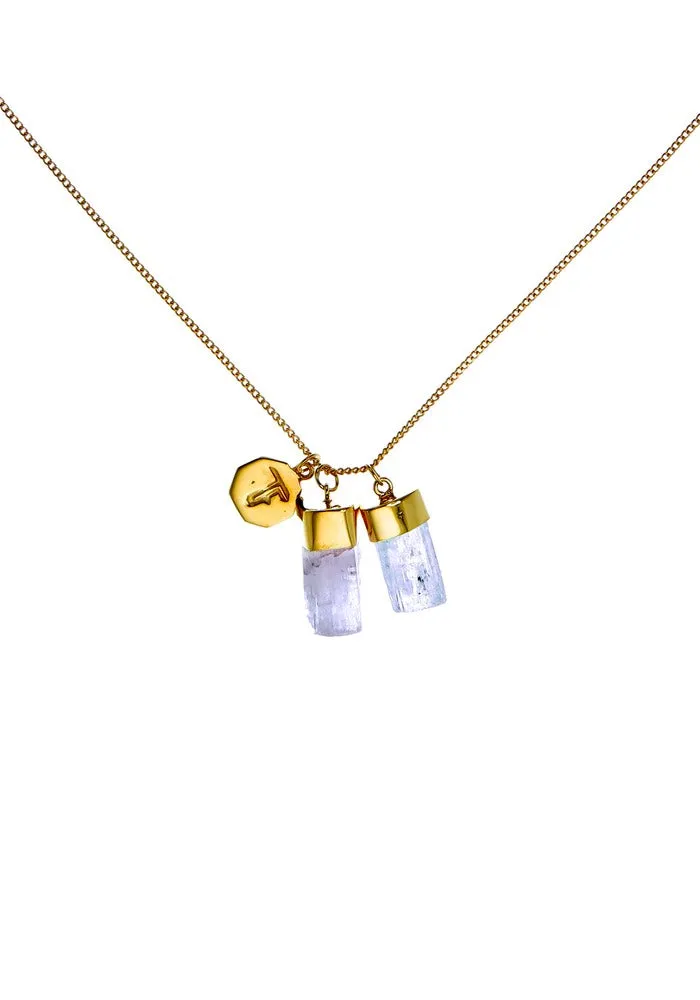 Tiger Frame Gold Aquamarine/Kunzite Charm Necklace