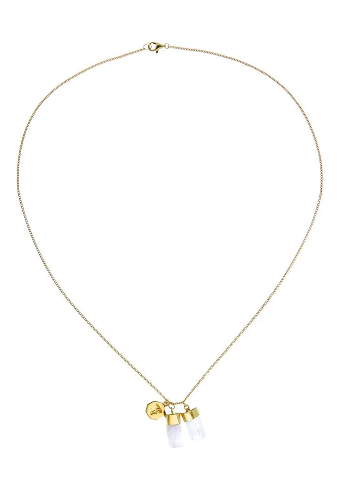 Tiger Frame Gold Aquamarine/Kunzite Charm Necklace