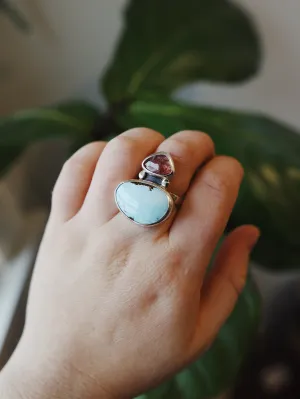 Two stone ring #3